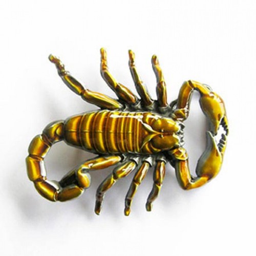 Buckle scorpion in - scorpion,, scorpion,